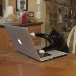 Quiz moteur de recherche